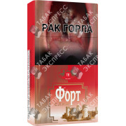 Форт Слим